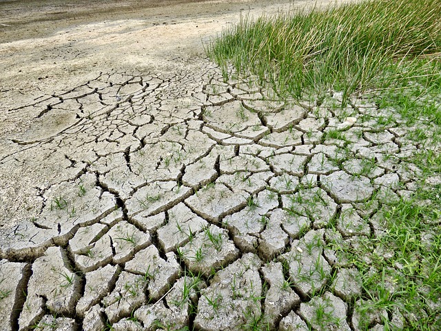 Climate Change - Image parJody Davis de Pixabay Climate Change - Image parJody Davis de Pixabay